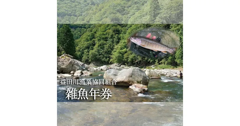 【ふるさと納税】【令和7年】益田川雑魚年券 2025年 渓流釣り 雑魚 年券 釣り 益田川 魚釣り アマゴ あまご 34000円