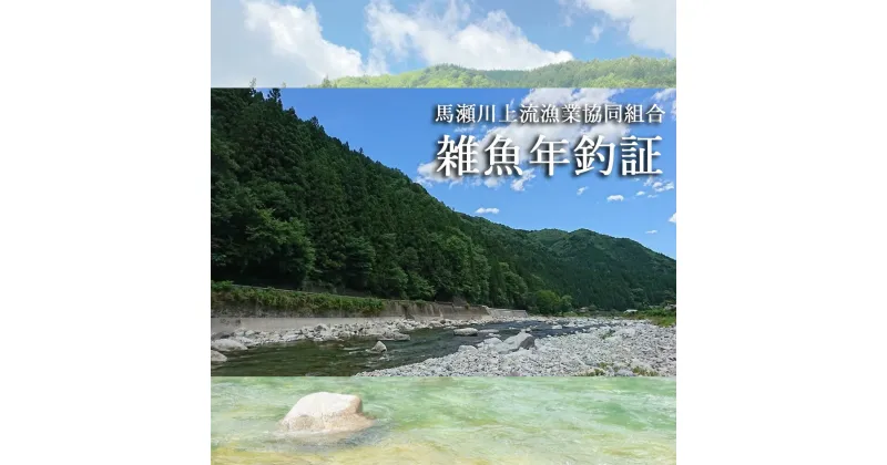 【ふるさと納税】【令和7年】馬瀬川上流雑魚年釣証1枚 2025年 雑魚 年券 釣り 渓流釣り 清流 馬瀬川 魚釣り アマゴ イワナ 岩魚 あまご 24000円 岐阜県 下呂市 つり