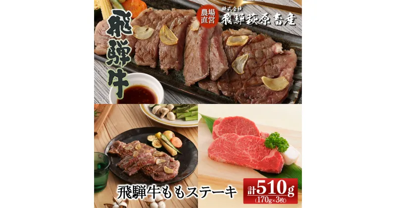 【ふるさと納税】飛騨牛 ももステーキ170g×3飛騨牛 170g 【冷凍】下呂温泉 オススメ 国産 和牛 牛肉 肉 和牛 赤身 人気 ブランド牛 ステーキ 牛肉セット BBQ 飛騨萩原畜産 ギフト 贈答 贈り物 29000円 岐阜県 下呂市