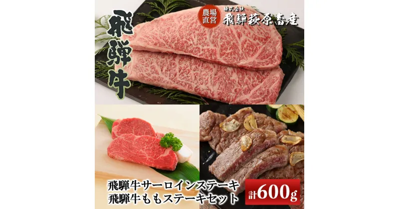 【ふるさと納税】 飛騨牛ステーキセット サーロインステーキ(200g×1枚)・飛騨牛ももステーキ(200g×2枚) 【冷凍】飛騨牛 下呂温泉 オススメ 国産 和牛 牛肉 ブランド牛 アウトドア バーベキュー サーロイン もも肉 ステーキ 飛騨萩原畜産 ギフト 贈答 贈り物 44000円