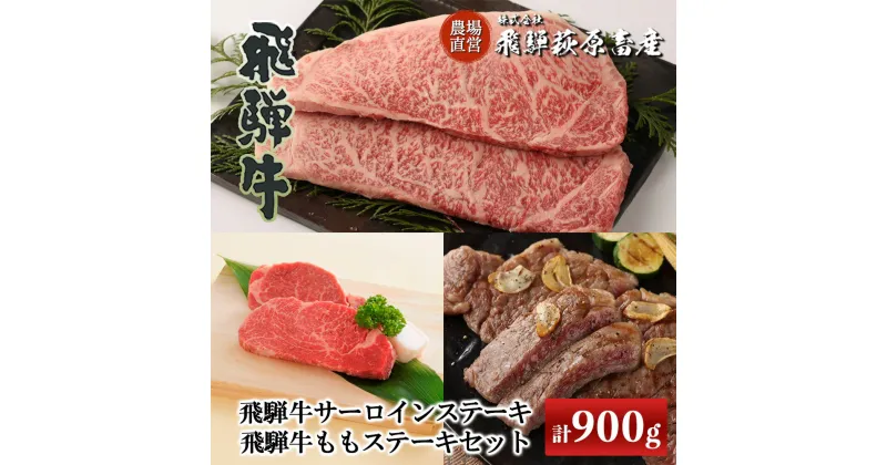 【ふるさと納税】飛騨牛 ステーキセット サーロインステーキ(200g×3枚)・飛騨牛 ももステーキ(150g×2枚)　【冷凍】飛騨牛 下呂温泉 オススメ 国産 和牛 牛肉 肉 和牛 赤身 人気 ブランド牛 アウトドア バーベキュー サーロイン もも肉 ステーキ 飛騨萩原畜産 飛騨 81000円