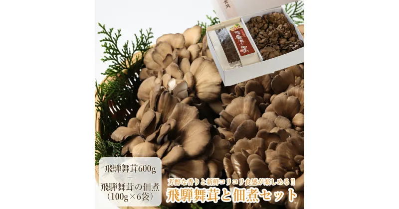 【ふるさと納税】飛騨舞茸と佃煮のセット　(飛騨舞茸 600g ・舞茸の佃煮 600g（100g×6袋） 舞茸 マイタケ まいたけ 下呂温泉 おすすめ きのこ 佃煮 惣菜 おかず TVで紹介された品 テレビで紹介 テレビで放送 9000円 岐阜県 下呂市