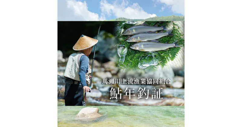 【ふるさと納税】予約受付【令和7年】馬瀬川上流鮎年釣証 1枚 鮎 年券 釣り 馬瀬川 あゆ 鮎掛け 2025年 釣り券 アユ まぜ 馬瀬 下呂温泉 54000円 岐阜県 下呂市