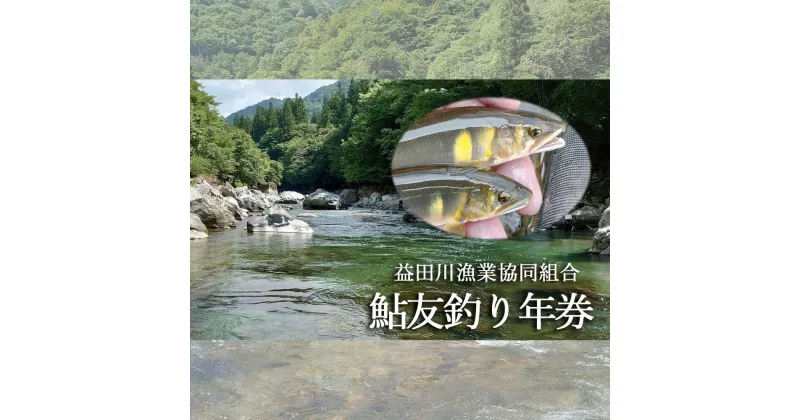 【ふるさと納税】予約受付【令和7年】益田川鮎友釣り年券 鮎 年券 釣り 益田川 あゆ 鮎掛け 友釣り 2025年 47000円