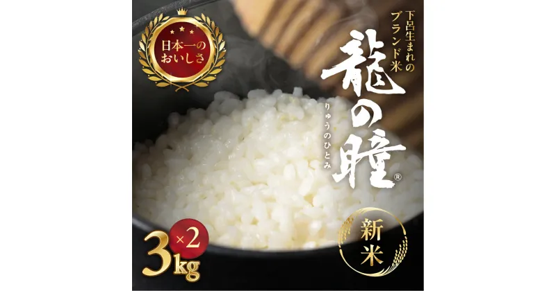 【ふるさと納税】【2024年産米】3kg × 2袋 (6kg) 龍の瞳（いのちの壱）株式会社龍の瞳直送 米 令和6年産 精米 りゅうのひとみ 下呂温泉 人気 お米 高級 ギフト 贈り物 28000円 岐阜県 下呂市 お米 農家直送 送料無料 白米 ご飯 おいしい 料理 こめ 竜の瞳 竜のひとみ