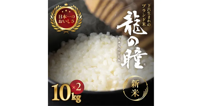 【ふるさと納税】【2024年産米】10kg × 2袋 (20kg) 飛騨産・龍の瞳（いのちの壱）株式会社 龍の瞳 直送 米 令和6年産 精米 りゅうのひとみ 下呂温泉 ギフト 贈り物 高級 89000円 岐阜県 下呂市 送料無料 農家直送 お米 白米 ご飯 10キロ 20キロ　竜の瞳　竜のひとみ