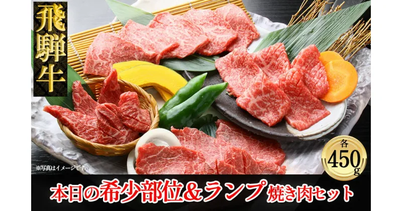 【ふるさと納税】 飛騨牛本日の希少部位・ランプ焼肉セット各450g 【冷凍】　冷凍配送　希少部位450g 飛騨牛ランプ450g 900g 飛騨牛 下呂温泉 おすすめ 牛肉 ブランド牛 肉ギフト 国産 贈答品 焼肉用 焼肉 焼肉セット 焼き肉 ギフト 希少部位 ランプ 2種 49000円