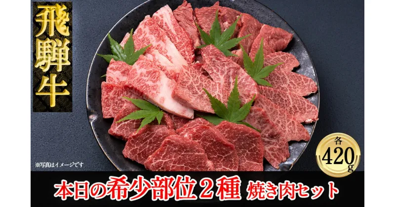 【ふるさと納税】飛騨牛 本日の希少部位 2種 焼肉 牛肉セット計840g　【冷凍】 希少部位420g ×2種 下呂温泉 おすすめ 牛肉 肉 和牛 赤身 人気 ブランド牛 肉ギフト 国産 贈答品 焼肉用 焼肉 焼肉セット 焼き肉 ギフト 47000円 岐阜県 下呂市