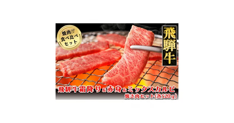 【ふるさと納税】 A5ランク 飛騨牛 焼肉 セット 3種 計1.56kg (各520gずつ 本日の霜降り / 赤身 /ミックスカルビ ) 【冷凍】 牛肉 肉 焼き肉セット 焼き肉 大容量 ギフト 下呂温泉 おすすめ ブランド牛 肉ギフト 贈答品 焼肉用 70000円 7万円 岐阜県 下呂市