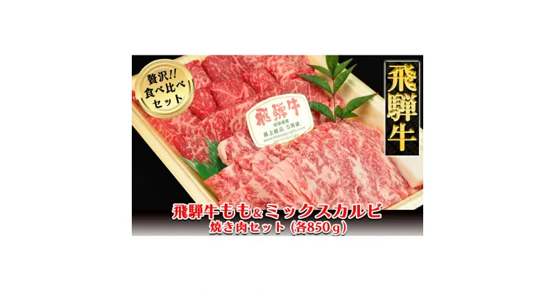 【ふるさと納税】 飛騨牛もも・ミックスカルビ焼肉セット各850g 【冷凍】　冷凍配送　飛騨牛もも850g 飛騨牛ミックスカルビ850g 1700g もも カルビ 飛騨牛 下呂温泉 おすすめ 牛肉 ブランド牛 肉ギフト 国産 贈答品 焼肉用 焼肉 焼肉セット 焼き肉 ギフト 2種 67000円