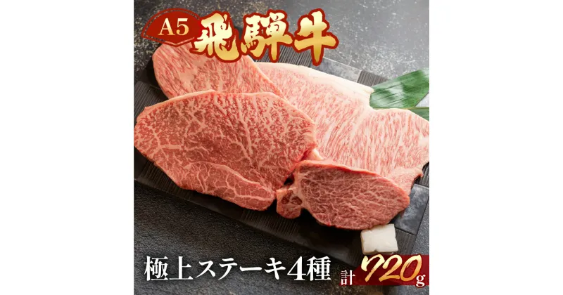 【ふるさと納税】 A5 飛騨牛 ステーキ 4種 計720g (ヒレ / サーロイン / イチボ / ランプ ) 牛肉 食べく選べ ステーキ肉 【冷凍】牛肉セット おすすめ 牛肉 ブランド牛 肉ギフト 国産 贈答品 ステーキ ギフト 食べ比べ 50000円　5万円 岐阜県 下呂市