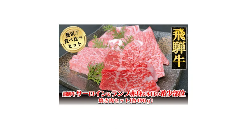 【ふるさと納税】 飛騨牛サーロイン・ランプ赤身・本日の希少部位焼肉セット各490g 【冷凍】飛騨牛サーロイン490g 飛騨牛ランプ赤身490g 飛騨牛本日の希少部位490g 飛騨牛 下呂温泉 おすすめ 牛肉 ブランド牛 肉ギフト 国産 贈答品 焼肉用 焼肉 焼肉セット 焼き肉 ギフト