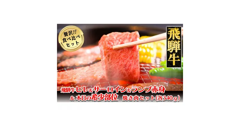 【ふるさと納税】 飛騨牛ヒレ・サーロイン・ランプ赤身・本日の希少部位焼肉セット各340g 【冷凍】　ヒレ 340g サーロイン 340g ランプ赤身 340g 本日の希少部位 340g 1360g 飛騨牛 下呂温泉 おすすめ 牛肉 ブランド牛 肉ギフト 国産 贈答品 焼肉 焼肉セット 焼き肉 ギフト