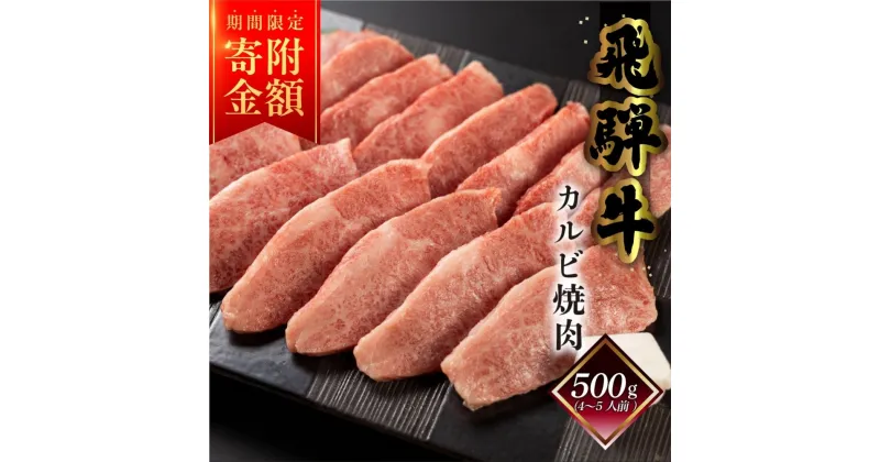 【ふるさと納税】≪期間限定　寄付金額≫菊の井 飛騨牛 カルビ 焼肉 500g（4～5人前） 焼肉用 おすすめ 牛肉 肉 和牛 赤身 人気 ブランド牛 肉ギフト 国産　贈答品 焼き肉 やきにく ギフト 【冷凍】 17000円 岐阜県 下呂市