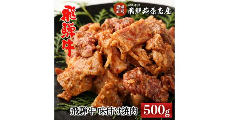 【ふるさと納税】飛騨牛 味付け焼肉　500g　【冷凍】ブランド牛 贈り物 贈答 ギフト 和牛 下呂温泉 焼肉 味付け おかず 飛騨 16000円 岐阜県 下呂市