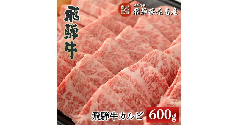 【ふるさと納税】飛騨牛 カルビ　600g　【冷凍】和牛 ブランド牛 下呂温泉 ギフト 贈り物 贈答 焼肉 霜降り 牛肉 肉 和牛 赤身 人気 カルビ アウトドア お中元 お歳暮 父の日 敬老の日 母の日 お祝 31000円 岐阜県 下呂市