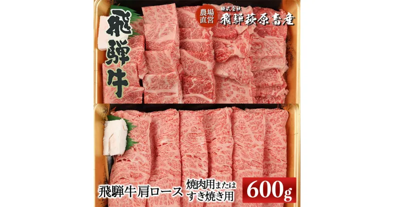 【ふるさと納税】飛騨牛 肩ロース　600g　（焼肉用または　すき焼き用）【冷凍】　ギフト 和牛 ブランド牛 下呂温泉 贈り物 贈答 ロース 焼肉 すき焼き お歳暮 お中元 牛肉 肉 和牛 赤身 人気 飛騨飛騨牛 44000円 岐阜県 下呂市