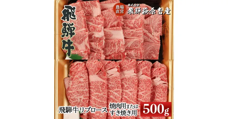 【ふるさと納税】飛騨牛 リブロース　500g（焼肉用　または　すき焼き用）　【冷凍】ギフト 和牛 ブランド牛 下呂温泉 贈り物 贈答 ロース 焼肉 すき焼き 牛肉 肉 和牛 赤身 人気 飛騨飛騨牛 お歳暮 お中元 お祝い 焼肉用 アウトドア 50000円 岐阜県 下呂市