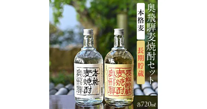 【ふるさと納税】奥飛騨麦焼酎セット（本格麦・長期貯蔵）各720ml 焼酎 麦焼酎 日本酒 蔵元 奥飛騨酒造 下呂温泉 おすすめ　贈答品 贈り物 ギフト プレゼント お歳暮 お中元 父の日 母の日 敬老の日 成人の日 成人式 12000円 岐阜県 下呂市