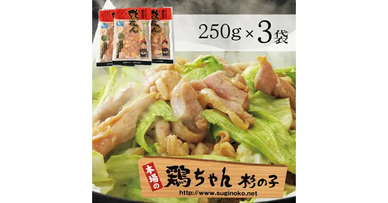 【ふるさと納税】鶏ちゃん専門店「杉の子」味付き鶏ちゃん 250g×3袋 6人前 下呂温泉 おすすめ バーベキュー BBQ アウトドア 鶏肉 けいちゃん ケイちゃん 鶏ちゃん 冷凍 冷凍配送 味付け 焼くだけ 鶏肉料理 おかず 惣菜 時短 簡単料理 ケンミンショー 恵那鶏 ブランド肉