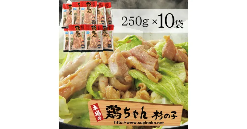 【ふるさと納税】鶏ちゃん専門店「杉の子」味付き鶏ちゃん 250g×10袋 20人前 焼肉 下呂温泉 おすすめ バーベキュー BBQ アウトドア 鶏肉 けいちゃん ケイちゃん 鶏ちゃん　味付け 焼くだけ 鶏肉料理 おかず 惣菜 時短 簡単料理 ケンミンショー 恵那鶏 ブランド肉 44000円