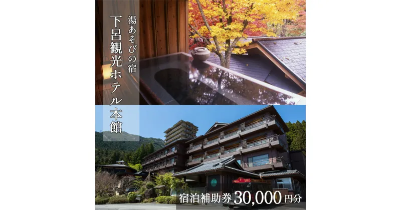 【ふるさと納税】【下呂観光ホテル】宿泊補助券(30,000円分）下呂温泉 下呂市 下呂 飛騨 岐阜 おすすめ 宿泊券 クーポン 旅行 観光 温泉旅館 温泉 露天風呂 贈り物 贈答 ギフト 家族旅行 卒業旅行 国内旅行 新婚旅行 貸切風呂 キャンプ カプセルホテル 1泊2食付き 2名 など