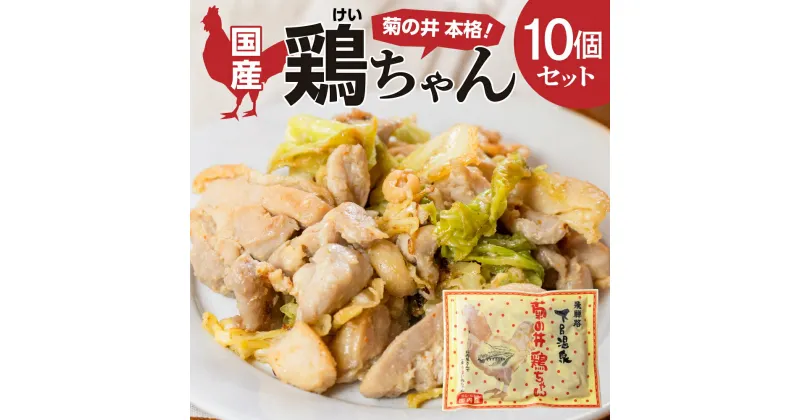 【ふるさと納税】菊の井 鶏ちゃん 10個セット（250g×10袋）けいちゃん ケイちゃん 下呂温泉 飛騨 焼くだけ B級グルメ 人気 ご飯のお供 　【冷凍】 23000円 岐阜県 下呂市