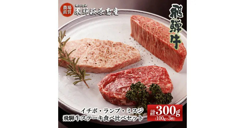 【ふるさと納税】希少部位3種を食べ比べ！飛騨牛ステーキ食べ比べセット 計300g（イチボ 100g×1枚・ランプ 100g×1枚・ミスジ 100g×1枚）【冷凍】最高級 国産 牛肉 ブランド牛 和牛 下呂温泉 飛騨 ギフト 贈り物 贈答 赤身 霜降り 父の日 母の日 お歳暮 お中元 お祝い