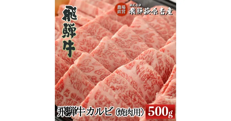 【ふるさと納税】飛騨牛 カルビ焼肉用（500g）【冷凍】最高級 国産 牛肉 肉 和牛 赤身 人気 ブランド牛 和牛 焼き肉 やきにく BBQ バーベキュー 下呂温泉 飛騨 ギフト 贈り物 贈答 赤身 霜降り 父の日 母の日 お歳暮 お中元 お祝い 26000円 岐阜県 下呂市