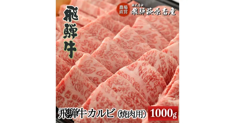 【ふるさと納税】たっぷり大容量！飛騨牛 カルビ焼肉用（1kg）【冷凍】最高級 国産 牛肉 肉 和牛 赤身 人気 ブランド牛 和牛 大容量 焼き肉 やきにく BBQ バーベキュー 下呂温泉 飛騨 ギフト 贈り物 贈答 赤身 霜降り 父の日 母の日 お歳暮 お中元 お祝い 50000円