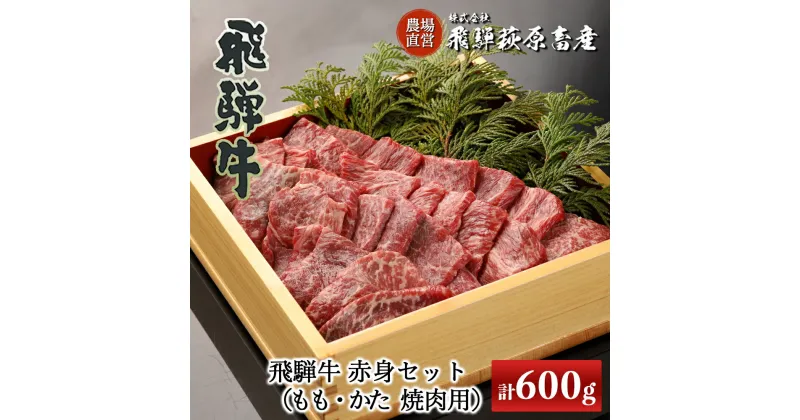 【ふるさと納税】飛騨牛赤身焼肉セット 600g（もも焼肉 300g・かた焼肉 300g）【冷凍】 最高級 国産 牛肉 ブランド牛 和牛 大容量 焼き肉 やきにく BBQ バーベキュー 下呂温泉 飛騨 ギフト 贈り物 贈答 赤身 霜降り 父の日 母の日 お歳暮 お中元 お祝い 35000円