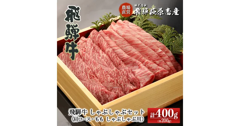 【ふるさと納税】飛騨牛 赤身しゃぶしゃぶセット 計400g（もも 200g・肩ロース 200g）【冷凍】 最高級 国産 牛肉 肉 和牛 赤身 人気 ブランド牛 和牛下呂温泉 飛騨 ギフト 贈り物 贈答 赤身 霜降り 父の日 母の日 お歳暮 お中元 お祝い 27000円 岐阜県 下呂市