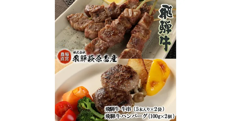 【ふるさと納税】飛騨牛 串焼き・飛騨牛 ハンバーグセット（牛串 10本・ハンバーグ 100g×2個）【冷凍】最高級 国産 牛肉 肉 和牛 赤身 人気 ブランド牛 和牛 BBQ バーベキュー 下呂温泉 飛騨 ギフト 贈り物 贈答 赤身 霜降り 父の日 母の日 お歳暮 お中元 お祝い 18000円