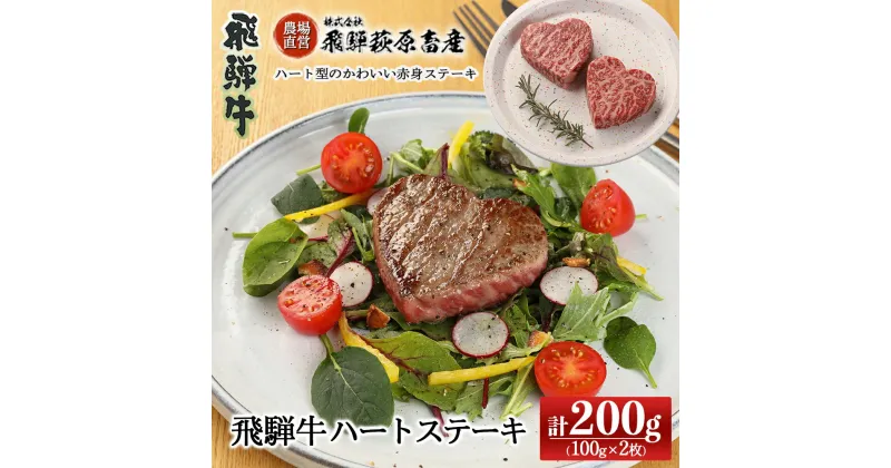 【ふるさと納税】飛騨牛 ハートステーキ （100g×2枚）【冷凍】最高級 国産 牛肉 肉 和牛 赤身 人気 ブランド牛 和牛 ご結婚 記念日 下呂温泉 飛騨 ギフト 贈り物 贈答 赤身 霜降り 父の日 母の日 お歳暮 お中元 お祝い 21000円 岐阜県 下呂市