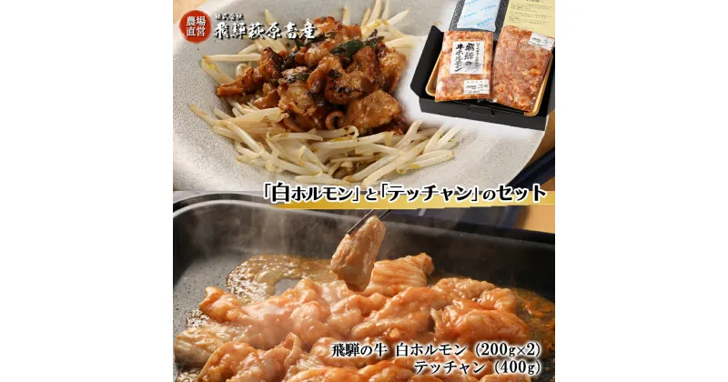 【ふるさと納税】飛騨の牛白ホルモン（200g×2袋）・テッチャン（400g）セット【冷凍】 国産 牛肉 ブランド牛 和牛 下呂温泉 飛騨 ギフト 贈り物 贈答 父の日 母の日 お歳暮 お中元 お祝い 牛ホルモン 18000円 岐阜県 下呂市