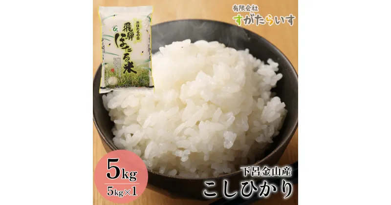 【ふるさと納税】【令和6年産米】こしひかり 5kg すがたらいす 下呂市金山産 2024年産 お米 新米　精米 下呂温泉 下呂市　コシヒカリ 精米 米 11000円 農家直送 送料無料 令和6年