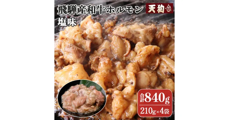 【ふるさと納税】飛騨産和牛ホルモン 塩味 210g×4袋【冷凍】牛肉 牛ホルモン しお味 焼くだけ 簡単 贈答品 ギフト BBQ アウトドア 味付き 10000円 岐阜県 下呂市