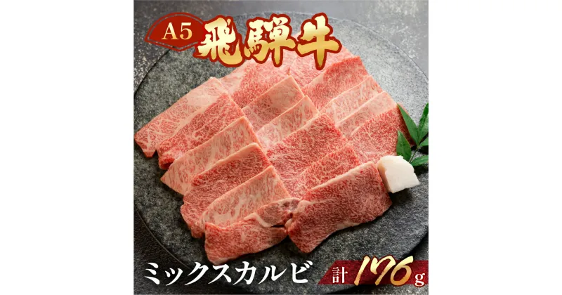 【ふるさと納税】飛騨牛 A5 ミックスカルビ 176g（約2人前）【冷凍】牛肉 肉 和牛 赤身 人気 カルビ 焼肉 牛 天狗飛騨牛 下呂温泉 牛肉 肉 和牛 赤身 人気 国産 贈答品 真空 BBQ バーベキュー 7000円