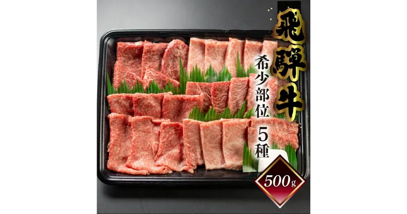 【ふるさと納税】 【数量限定】飛騨牛 希少部位 5種 焼肉 盛り合わせ 計500g 各100g 菊の井 (ラムシン、ボンショー、カイノミ、トモサンカク、シキンボウ) おすすめ 牛肉 肉 和牛 赤身 人気 牛肉セット 肉ギフト 国産 贈答品 焼き肉 ギフト 【冷凍】 25000円 岐阜県 下呂市