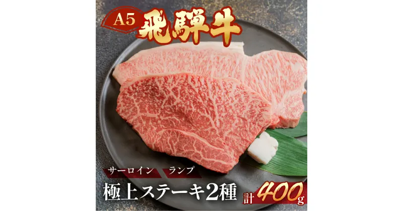 【ふるさと納税】A5 飛騨牛 ステーキ2種 サーロイン / ランプ 約400g(約200g×2枚)　牛肉 赤身　霜降り【冷凍】牛肉セット ステーキ肉 下呂温泉 おすすめ 肉 和牛人気 ブランド牛 肉ギフト 国産 贈答品 ギフト 和牛 27000円 2万7千円 岐阜県 下呂市