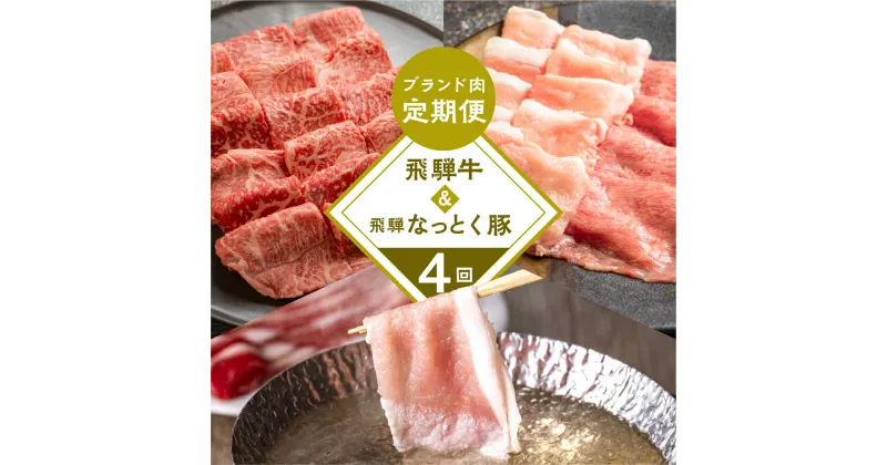 【ふるさと納税】 飛騨牛 ＆ なっとく豚 定期便 4回 牛肉 / 豚肉 食べ比べ (焼肉 / すき焼き / しゃぶしゃぶ / 豚しゃぶ) 下呂温泉 お楽しみ おすすめ ブランド牛 赤身 霜降りミックス 牛肉セット 国産 焼き肉 ギフト 定期便 50,000円 5万円 岐阜県 下呂市