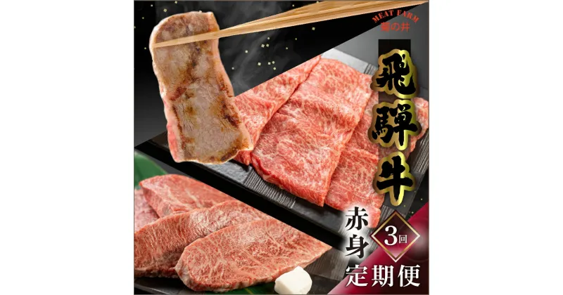 【ふるさと納税】 【定期便3回】 飛騨牛 菊の井 赤身 定期便 3回 (ステーキ / 焼き肉 / しゃぶしゃぶ) イチボ ランプ もも 4-5人前 おすすめ 牛肉 ブランド牛 肉ギフト 下呂温泉 国産 焼肉 ギフト 定期便 70000円 7万円 岐阜県 下呂市