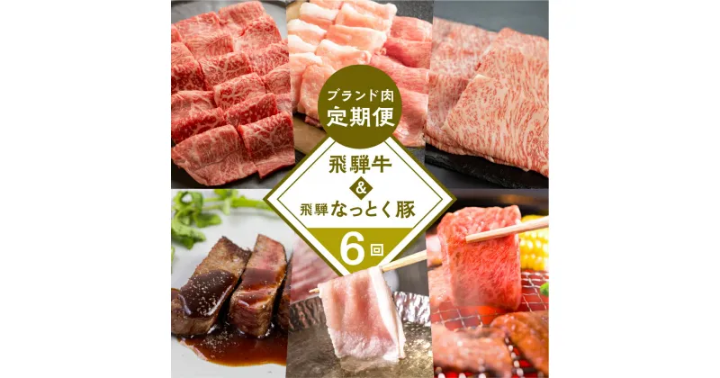 【ふるさと納税】 飛騨牛 ＆ なっとく豚 ブランド肉 定期便 6回 牛肉 豚肉 (ステーキ / すき焼き / しゃぶしゃぶ / 焼き肉) カルビ イチボ お楽しみ 下呂温泉 おすすめ ブランド牛 赤身 霜降り 肉ギフト 国産き 焼肉 豚しゃぶ ギフト 定期便 100,000円 岐阜県 下呂市