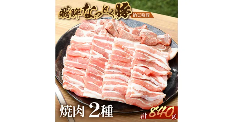 【ふるさと納税】飛騨納豆喰豚 豚肩ロース＆ばら 計840g 焼肉 自家用箱 豚肩ロース 420g 豚バラ 420g【冷凍】　冷凍配送 下呂温泉 おすすめ 人気 ブラン豚 肉ギフト 国産 贈答品 すき焼き用 すきやき ギフト 和牛 10000円 1万円