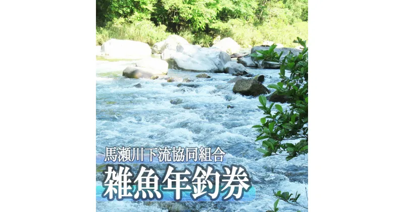 【ふるさと納税】【令和7年】馬瀬川下流!! 雑魚年釣券 渓流釣り 年券 アマゴ イワナ あまご いわな 2025年 17000円