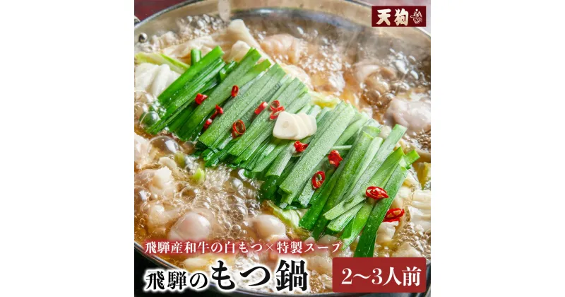 【ふるさと納税】飛騨のもつ鍋 2～3人前（もつ 300g ラーメン2食 特製スープ700g） 天狗 モツ もつ鍋 牛 ホルモン【冷凍】鍋 10000円 岐阜県 下呂市