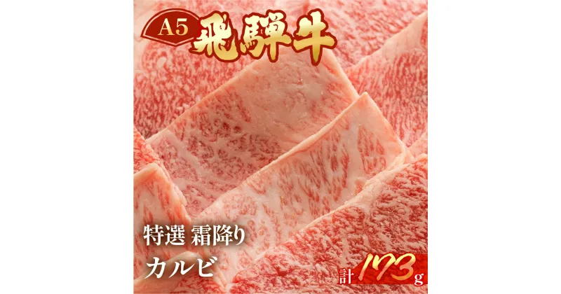 【ふるさと納税】飛騨牛 A5 特選霜降りカルビ 173g（約2人前）【冷凍 真空】牛肉 霜降り しもふり 焼肉 牛 天狗 ブランド牛 焼き肉 下呂市 飛騨 BBQ バーベキュー　10000円