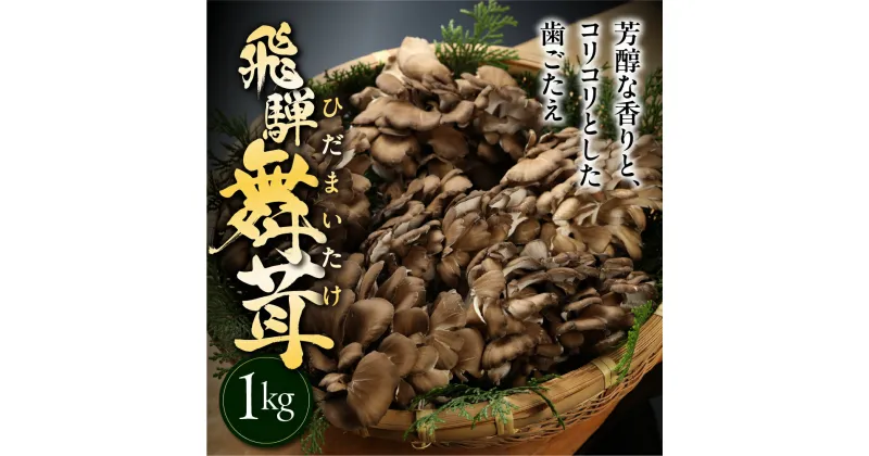 【ふるさと納税】飛騨舞茸 1kg 簡易包装 訳あり 黒舞茸 まいたけ 舞茸 高級 自宅用 大量 たっぷり 天ぷら 炒め物 低カロリー ヘルシー 7000円 マイタケ まいたけ キノコ 岐阜県 下呂市 きのこ 大容量