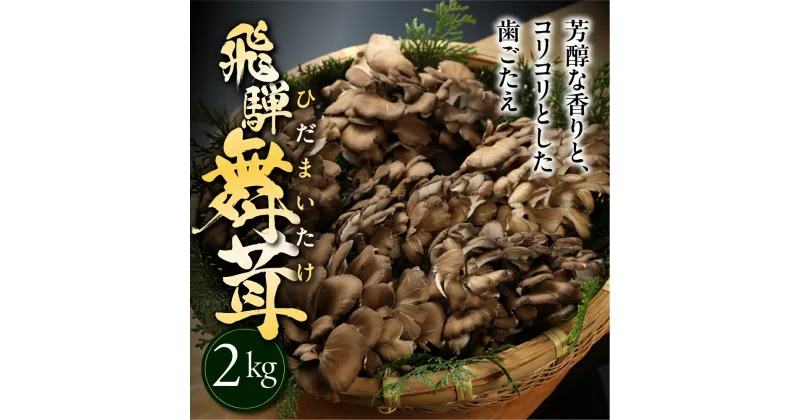 【ふるさと納税】飛騨舞茸 2kg 簡易包装 訳あり 黒舞茸 舞茸 まいたけ 高級 自宅用 大量 たっぷり 天ぷら 炒め物 低カロリー ヘルシー 14000円 マイタケ まいたけ キノコ 岐阜県 下呂市 きのこ 大容量