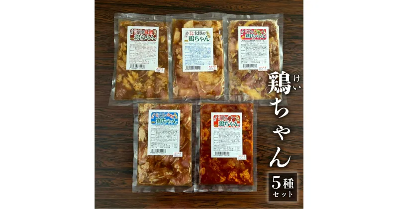 【ふるさと納税】焼肉大臣の鶏ちゃんセット 5種類【レギュラー、ひね、赤辛、味噌 （各200g）セセリ（170g）】 バーベキュー BBQ B級 グルメ けいちゃん ケイちゃん 味付け 味付き 焼くだけ 簡単料理 下呂市 ソウルフード 郷土料理 おすすめ おかず 食べ比べ 9000円